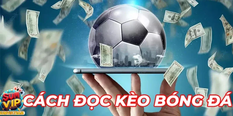 Cách Xem Kèo Bóng Đá Chi Tiết Và Đơn Giản Dành Cho Người Mới 7 cach xem keo bong da