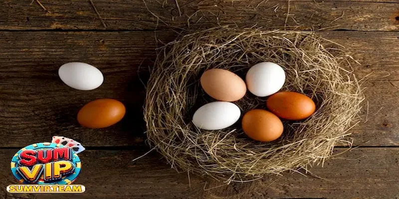 Cược thủ cá cược nên đánh con gì khi mơ thấy trứng gà 