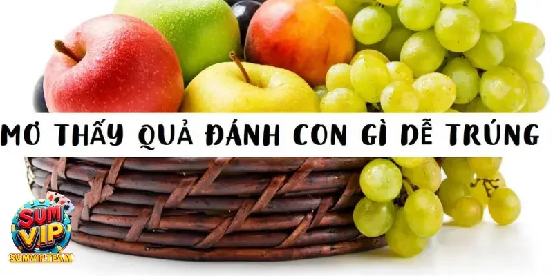 Mơ Thấy Trái Cây – Giấc Mơ Này Liệu Có Phải Điềm Xấu Không 4 Mơ thấy về trái cây có phải là điềm báo xấu không?