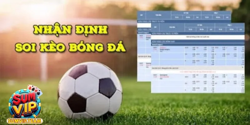 Nhận Định Bóng Đá Kèo Nhà Cái Dự Đoán Kết Quả Kịch Tính 10 nhan dinh bong da keo nha cai
