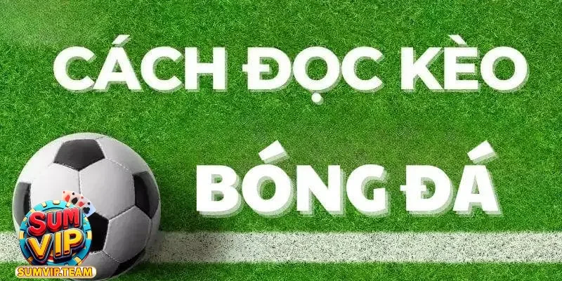 Nhận Định Bóng Đá Keonhacai - Cùng Đánh Giá Trận Đấu Hấp Dẫn 9 nhan dinh bong da keonhacai